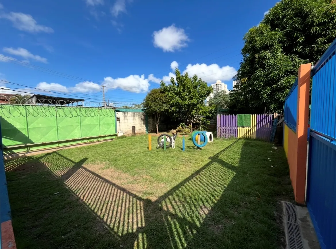 Creche pet perto de mim