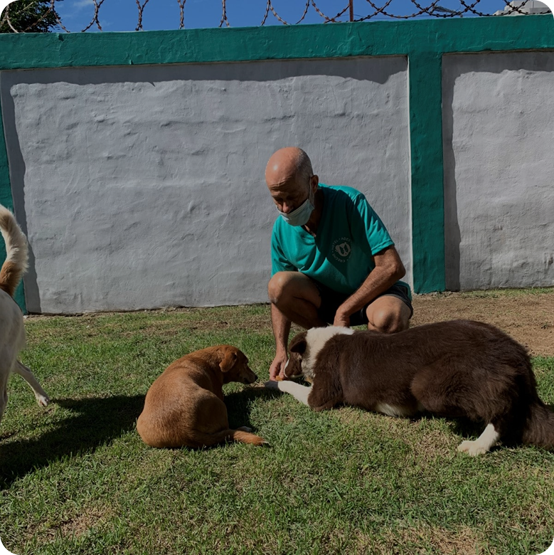 Enriquecimento Ambiental